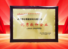 喜讯丨DB真人旗舰 DB数据获评2024~2025年度武汉市软件行业&ldquo;优秀企业&rdquo;、&ldquo;优秀工作者&rdquo;荣誉称号！